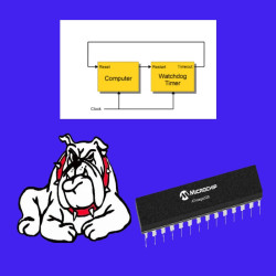 Arduino WDT Essentials